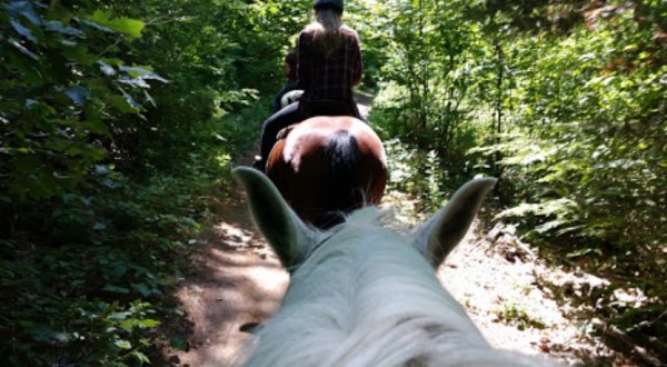 This Quaint Horse Ride Through Maine’s Woods Is A Magnificent Way To Take It All In