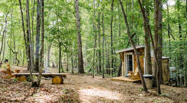 The Nestled Inn Will Take Your South Carolina Glamping Experience To A Whole New Level