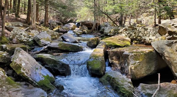 Audubon Loop Trail In Pennsylvania Will Lead You Straight To A Crystal-Clear Waterfall