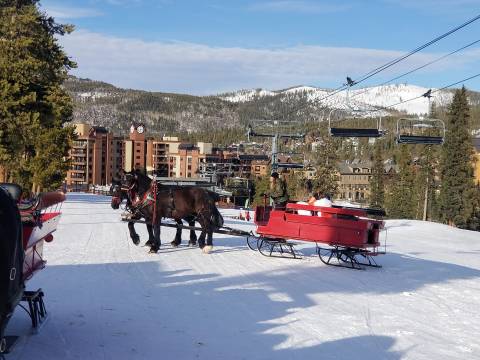 Ride Through Colorado's Wintery Landscape While Sipping Hot Chocolate On A Breckenridge Stables Sleigh Ride