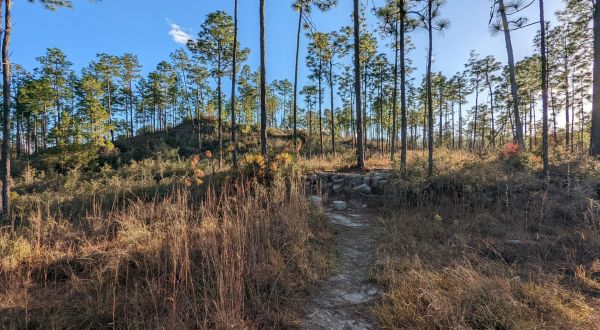 The Terrain On Louisiana’s Backbone Trail Looks Like Something From Another Planet