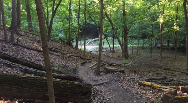 The Easy 1-Mile Wilderness And Valley Loop Trail Will Lead You Through The Illinois Woodlands