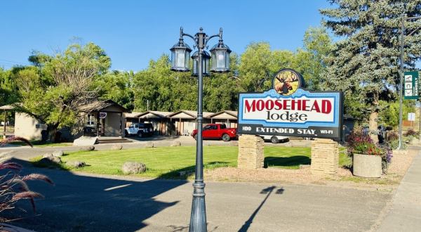 The Moosehead Lodge Is A Historic Roadside Motel In Colorado That You Will Want To Visit