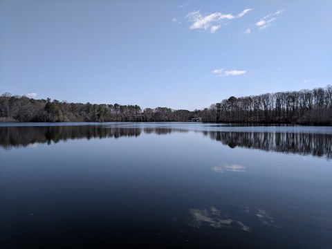 The Hike To Delaware's Pretty Little Killens Pond Is Short And Sweet