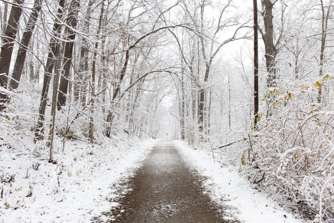 A Winter Wonderland Awaits When You Explore Your Own Backyard In Michigan This Season