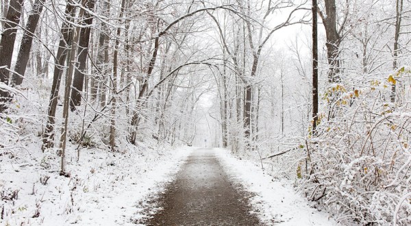 A Winter Wonderland Awaits When You Explore Your Own Backyard In Michigan This Season