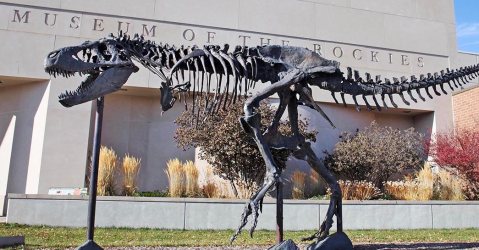 You Have To Visit This Incredible Dinosaur Museum In Montana