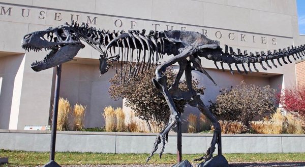 You Have To Visit This Incredible Dinosaur Museum In Montana