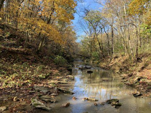 The One Loop Trail In Missouri That's Perfect For A Short Day Hike, No Matter What Time Of Year