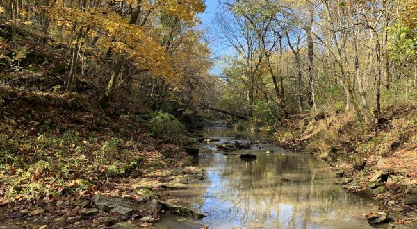 The One Loop Trail In Missouri That’s Perfect For A Short Day Hike, No Matter What Time Of Year