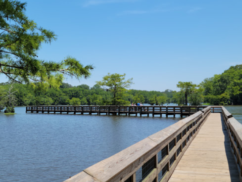 This Massive Waterfront Campground In Louisiana Is One Of America's Most Incredible State Parks