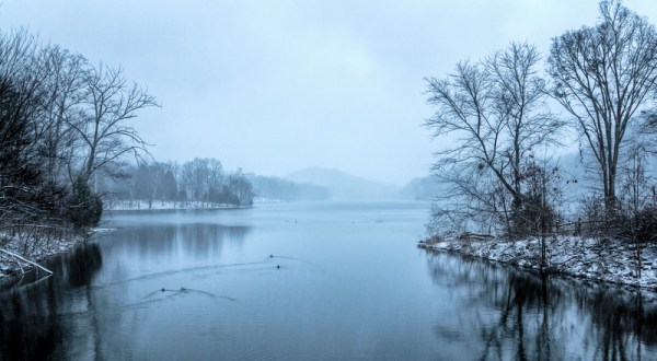 Radnor Lake In Nashville Completely Transforms In The Winter Months