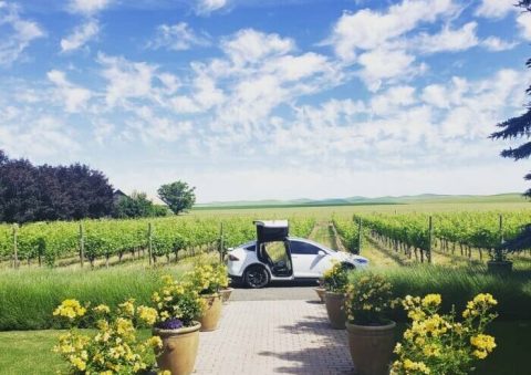 Road Trip To Beautiful Vineyards With Tesla Winery Tours In Washington