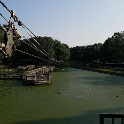 This Unique Zip Line Near Shreveport Is The Only One Of Its Kind In Louisiana