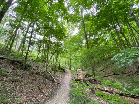 The 2.1-Mile Rock Quarry Trail In Missouri Is Full Of Jaw-Dropping Natural Beauty