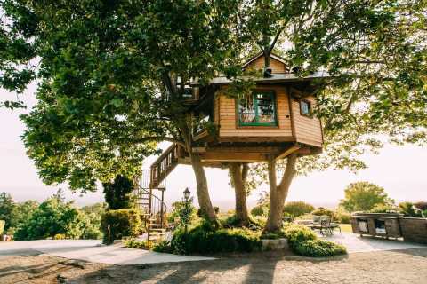 There's A Treehouse With Gorgeous Views In Northern California Where You Can Spend The Night