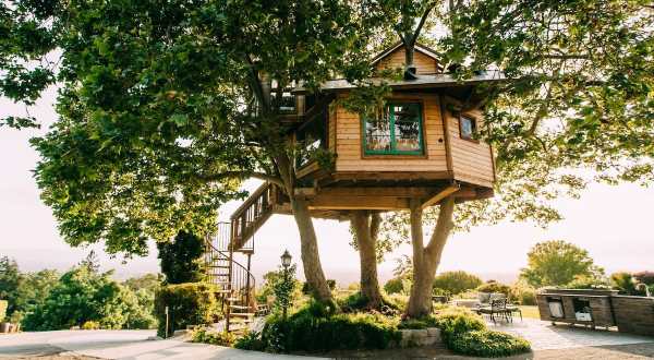 There’s A Treehouse With Gorgeous Views In Northern California Where You Can Spend The Night