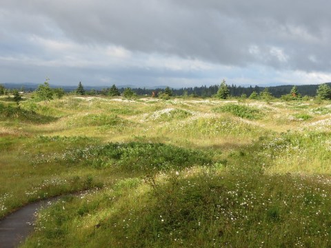 Mima Mounds Natural Area Preserve Is Washington's Only Mysterious Mound Formation, And It’s Worth A Stop