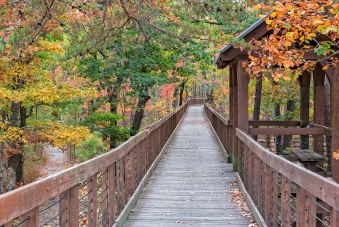 Follow This 1/4-Mile Trail In Alabama To A Gorgeous Overlook