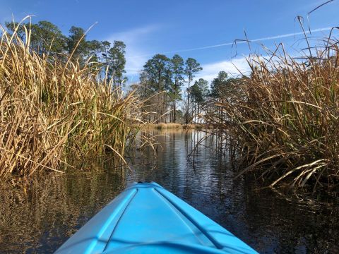 Explore A New Side Of Lecompte At Indian Creek Reservoir, A Special Paddle Trail In Louisiana