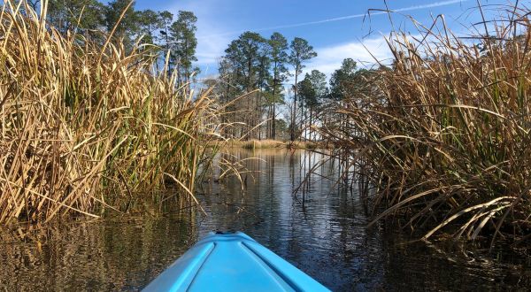 Explore A New Side Of Lecompte At Indian Creek Reservoir, A Special Paddle Trail In Louisiana