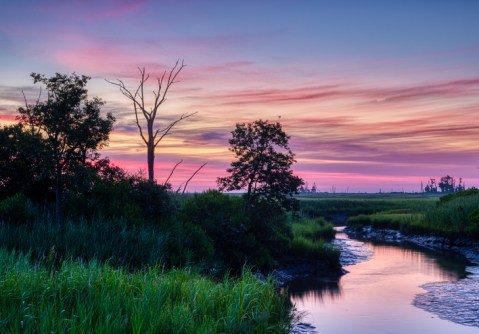 Watch The Sunrise At Bombay Hook, A Unique Wildlife Refuge In Delaware