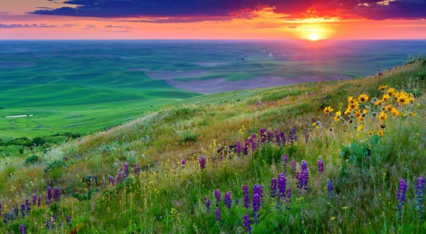 Watch The Sunset At Steptoe Butte, A Unique Natural Monument In Washington