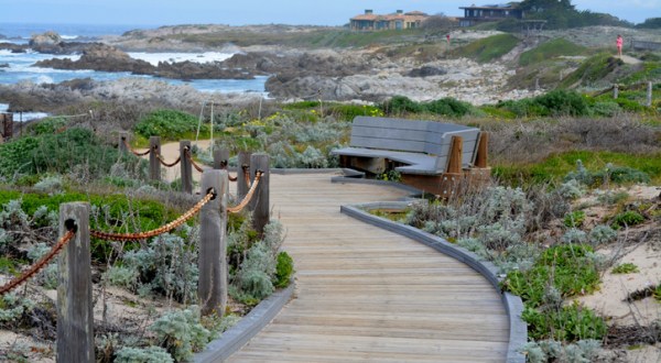 Asilomar State Beach Boardwalk In Northern California Leads To One Of The Most Scenic Views In The State
