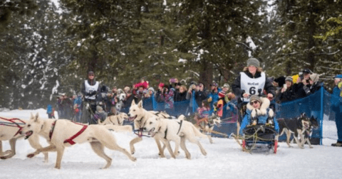 The One Annual Winter Festival In Idaho Every Idahoan Should Bundle Up For At Least Once