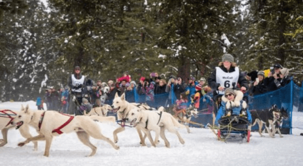 The One Annual Winter Festival In Idaho Every Idahoan Should Bundle Up For At Least Once