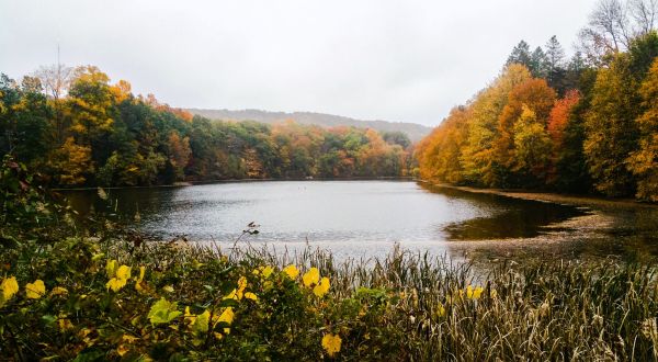 Escape To Tarrywile Park For A Beautiful Connecticut Nature Scene