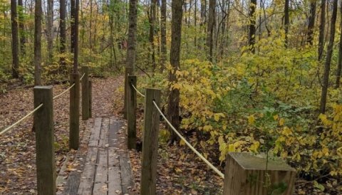 This Quaint Little Trail Is The Shortest And Sweetest Hike In Indiana