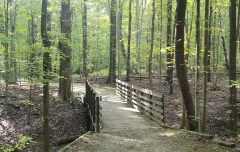 7 Of The Greatest Hiking Trails In Ohio For Beginners