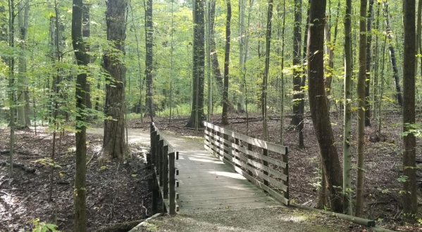 7 Of The Greatest Hiking Trails In Ohio For Beginners