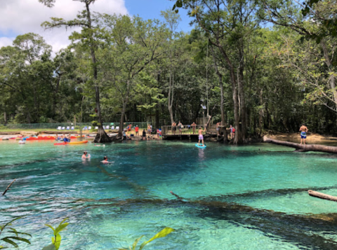 Spend The Day Exploring Dozens Of Springs In Florida's Holmes Creek