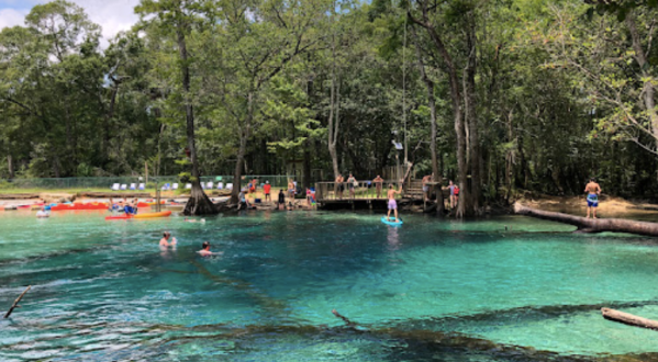Spend The Day Exploring Dozens Of Springs In Florida’s Holmes Creek