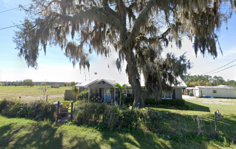 This Small Family-Owned And Operated Farm In Florida Sells The Best Eggs In Town