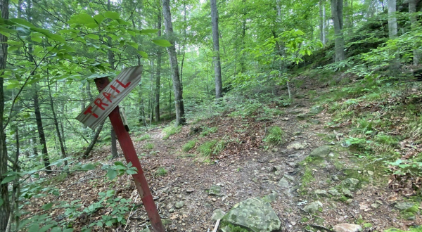 The 4.5-Mile Laurel, Turkey Ridge and Blue Heron Trail In Kentucky Takes You Through An Enchanted Forest