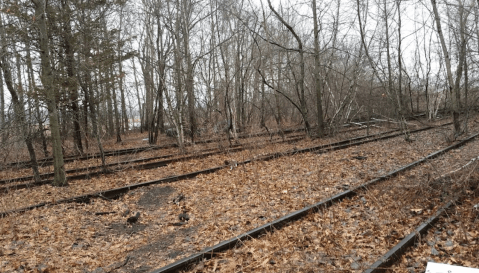Hike Just One Mile To This Abandoned Train Yard In Connecticut