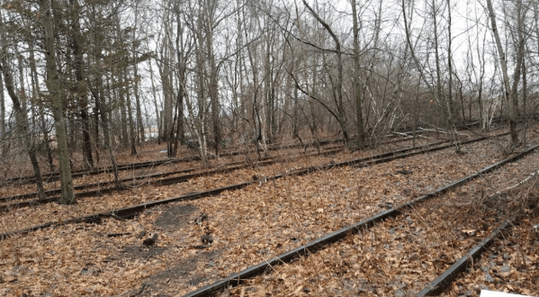 Hike Just One Mile To This Abandoned Train Yard In Connecticut
