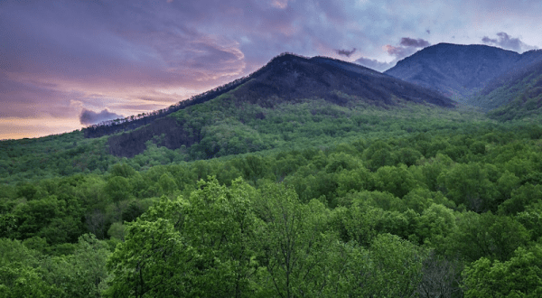 The Historic Newfound Gap In Tennessee That Will Lead You To A Magnificent Overlook