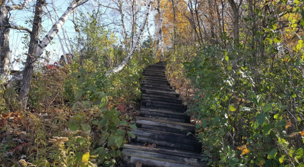Hike This Stairway To Nowhere In Minnesota For A Magical Woodland Adventure