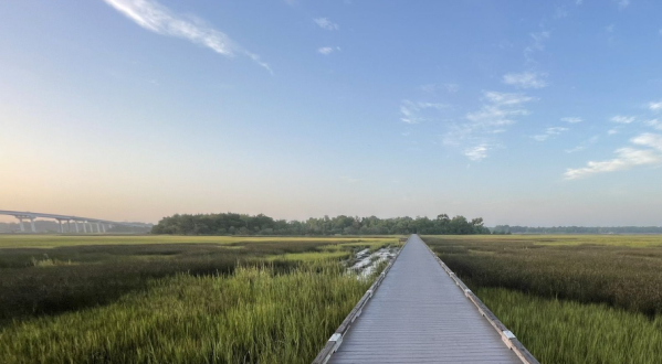 Few People Know You Can Walk To An Island At This County Park In South Carolina