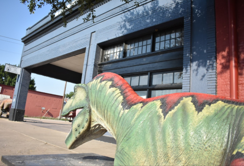 This Family-Friendly Dinosaur Museum In Texas Has Hundreds Of Fossils From Around The World