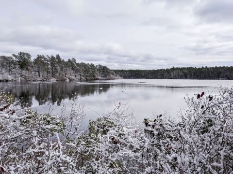 The East Head Pond Trail In Massachusetts Completely Transforms In The Winter Months