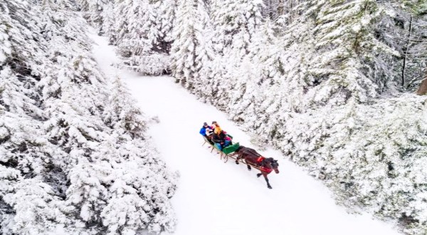 Act Quickly, West Virginia’s Snowshoe Mountain Sleigh Rides Are Only Offered For A Short Time Each Winter