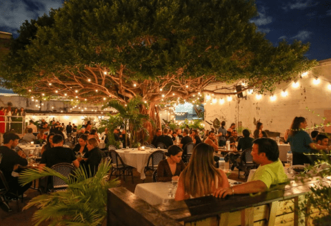 Dine Under A Gargantuan Tree In Florida When You Visit Sunny’s Steakhouse