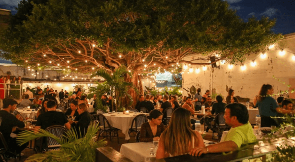 Dine Under A Gargantuan Tree In Florida When You Visit Sunny’s Steakhouse
