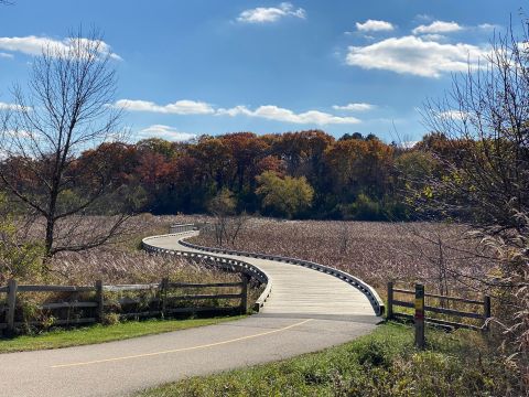 The One Loop Trail In Illinois That's Perfect For A Short Day Hike, No Matter What Time Of Year