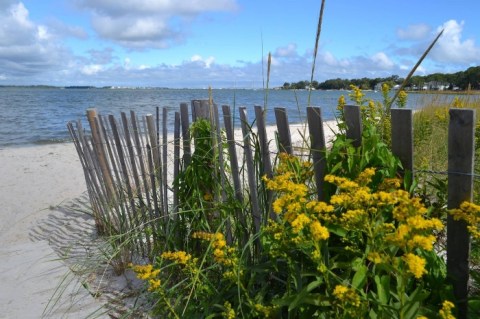 The James Farm Ecological Preserve Loop Trail In Delaware Leads To A Hidden Beach With Unparalleled Views